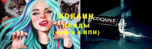 метадон Ельня