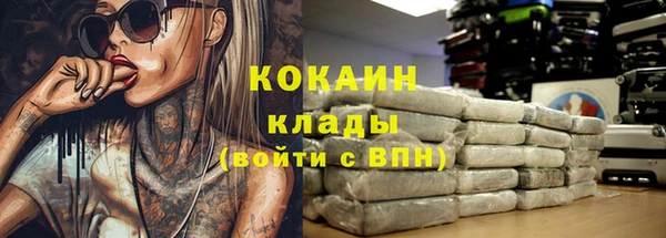 метадон Ельня
