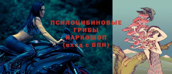 метадон Ельня