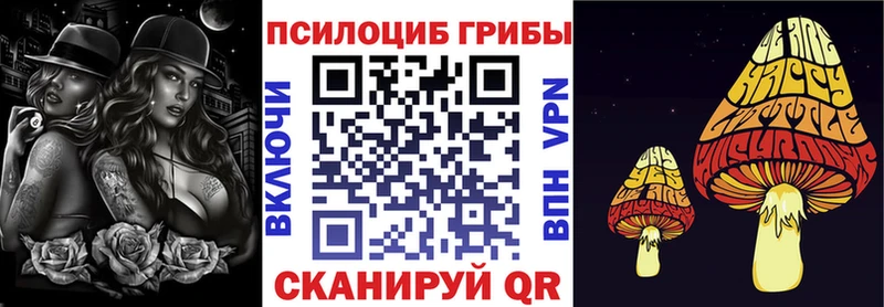 где продают   Звенигово  Псилоцибиновые грибы мицелий 